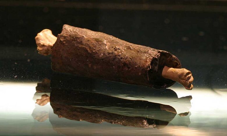 A curse tablet wrapped around a chicken bone.