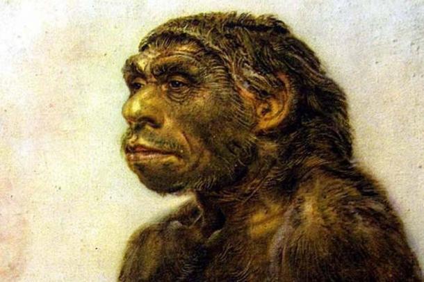 Représentation antérieure d'un homme de Néandertal.