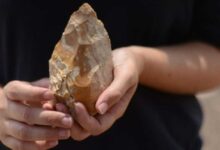 Prehistoric hand axe found in Israel.