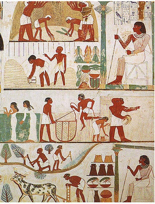 Scènes agricoles de battage, d'un grenier à grains, de récolte à la faucille, de creusement, de coupe d'arbres et de labourage du tombeau de Nakht, Thèbes XVIIIe dynastie. 