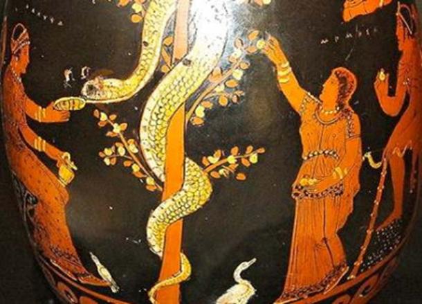 350 av. J.-C. représentation des Hespérides s'occupant de l'arbre et du serpent. 