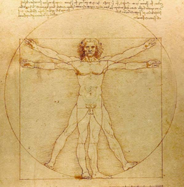 Le VRAI Da Vinci Code : L'homme de Vitruve. La relation proportionnelle des parties reflète la conception universelle.