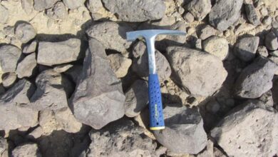 A large hand axe found in the Wadi Dadsa.