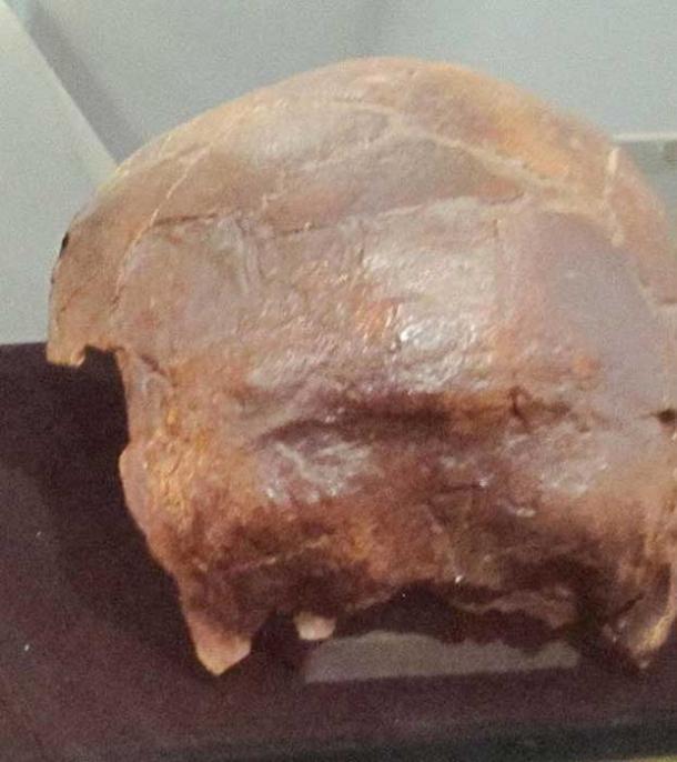 Le crâne de l'enfant de six à huit ans, découvert en 1997, présente des traces de coupures et de polissage après la mort.