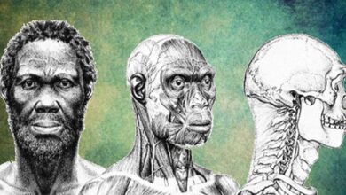 Depiction of what the ancient 'Herto Man' may have looked like. His skull dates to 160,000 years ago.