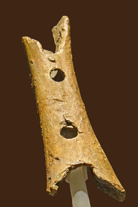 La flûte de Néandertal de la Divje Babe. 