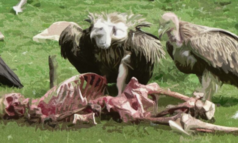 Sky Burial: Tibet’s Ancient Tradition for Honoring the Dead