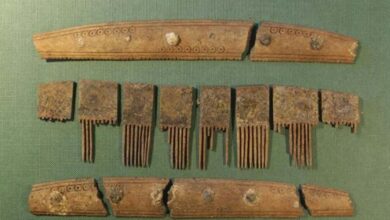 The comb was discovered in Ribe, West Denmark.
