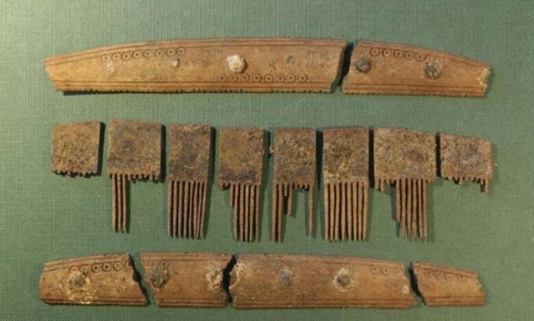 The comb was discovered in Ribe, West Denmark.