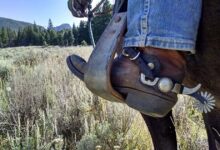 A cowboy boot in a horse’s stirrup.
