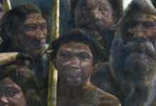 Artist’s depiction of ancient hominids.