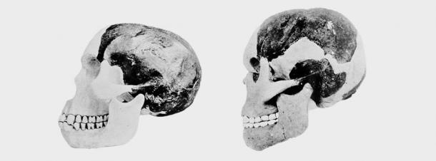 Deux scientifiques impliqués dans l'affaire de l'homme de Piltdown ont tenté de reconstruire le crâne et la mandibule de l'homme de Piltdown. 