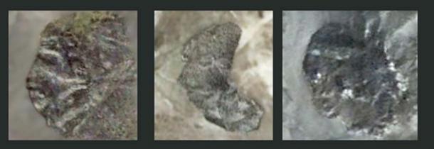Images des hominidés, de gauche à droite : Figures 2(a), 2(b), et 2(c) - Lucianna. (auteur fourni)