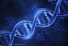 Définition de l'ADN : Forme, réplication et mutation