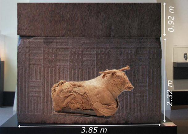 Un petit Photoshop pour comparer la taille d'un taureau (qui fait environ 2,3 mètres de long) et d'un sarcophage Serapeum d'après les mesures de Linant-Bey. Il s'agit d'une momie de taureau typique de l'époque dynastique. (soul-guidance.com)