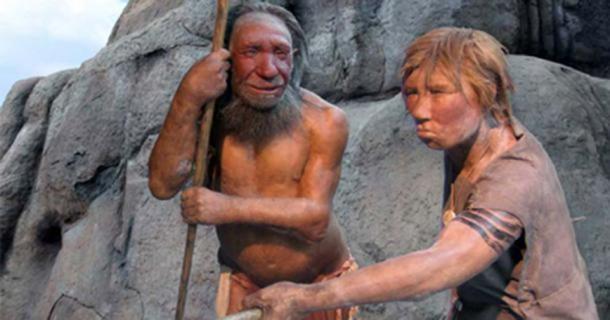 Homo neanderthalensis mâle et femelle au Musée de Neandertal, Mettmann, Allemagne.