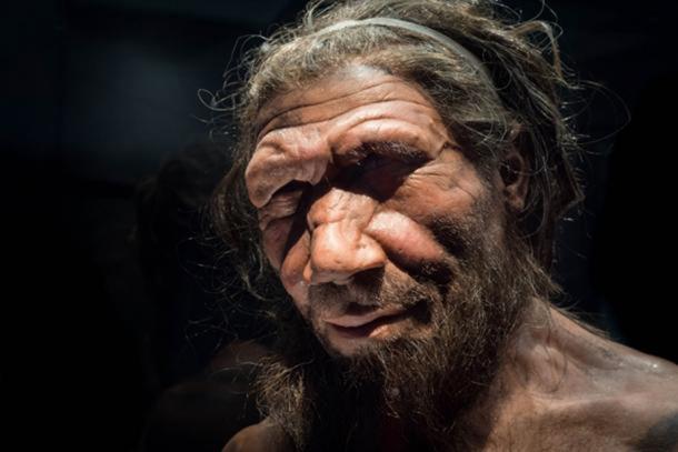Homme de Néandertal au Musée d'Histoire Naturelle de Londres. ( CC BY NC ND 2.0 )
