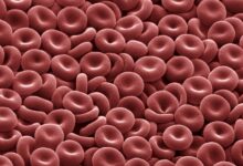 Les globules rouges : Fonction et structure