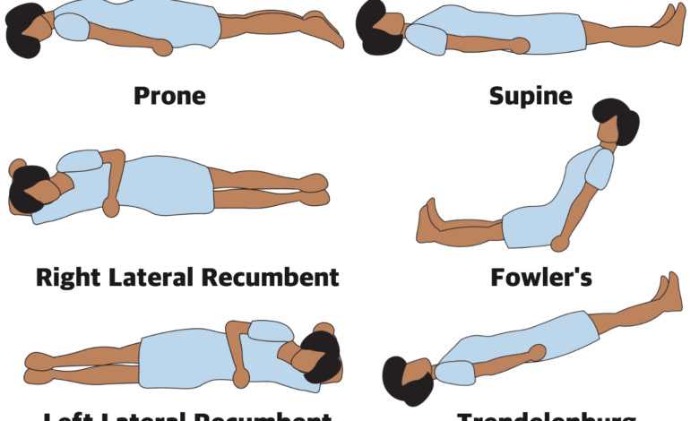 Position anatomique : Définitions et illustrations