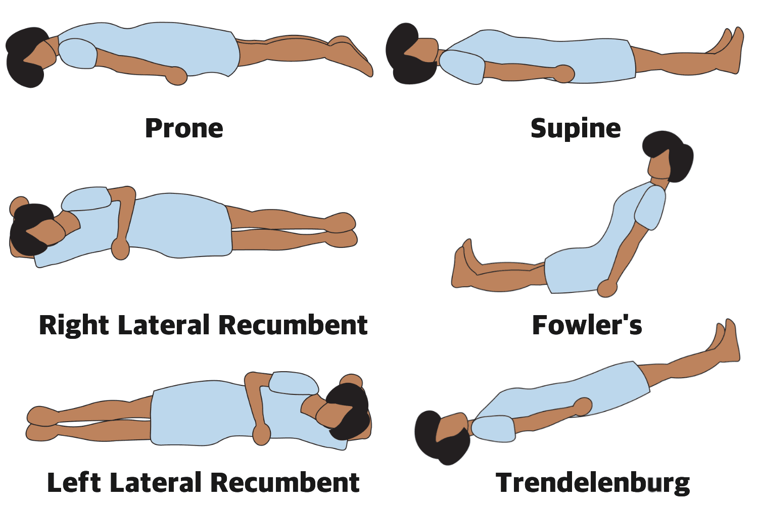 Position anatomique : Définitions et illustrations | Troovez.com