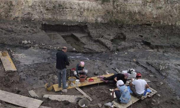 Site de fouilles à Poggetti Vecchi, en Italie, où les outils ont été trouvés. 