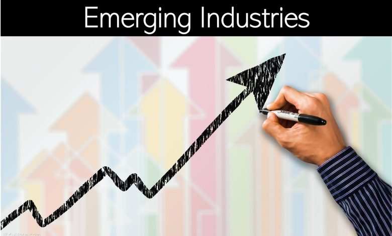 Industries émergentes : stratégies pour les industries émergentes
